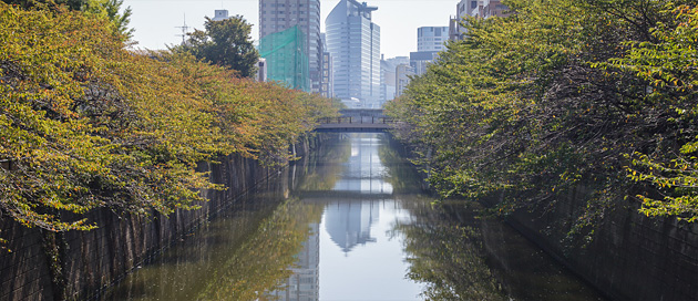Meguro gawa aujourd'hui