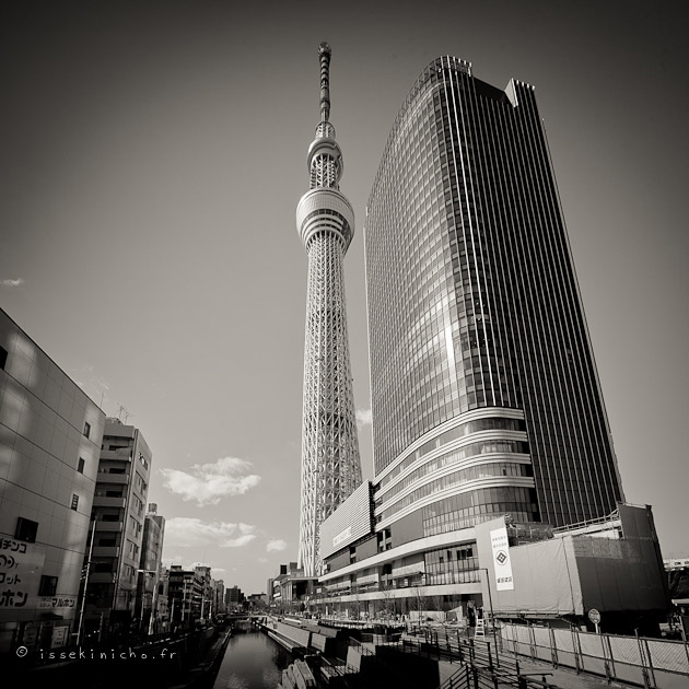 skytree-89