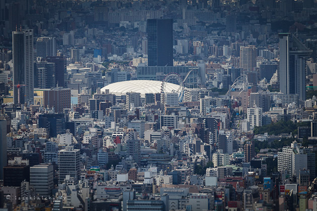 skytree-90