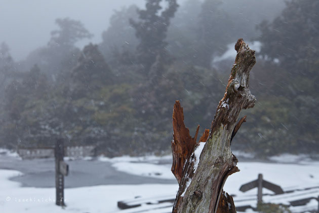 yakushima
