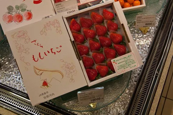 fraises_japon fraises au Japon 10000¥