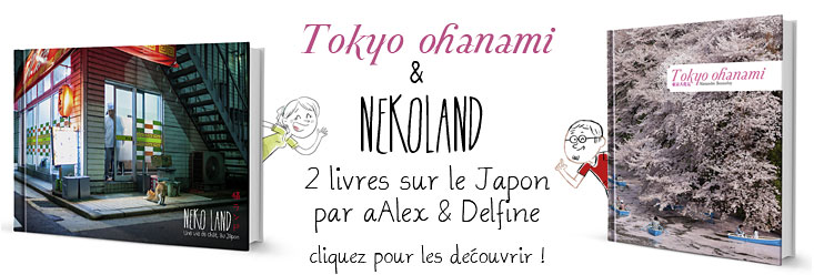 , Activités Japon Infos au TGS : « Vivre au Japon »