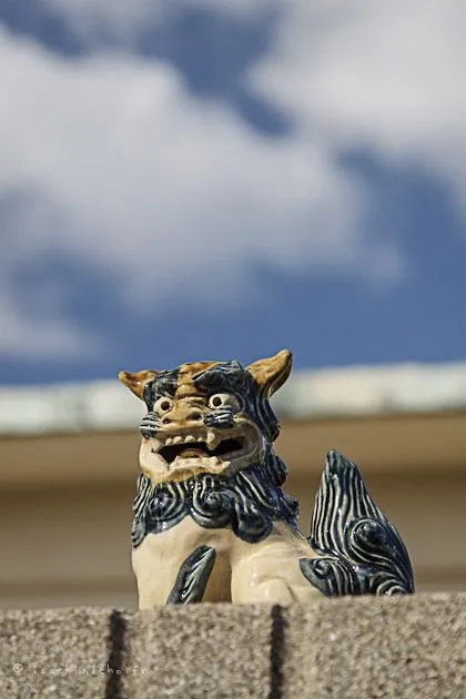 lion-1