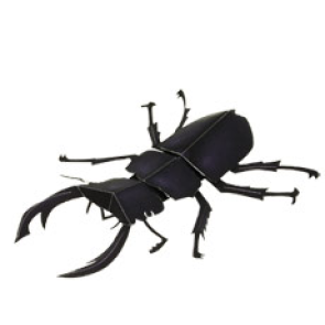 e_stag-beetle_thl.jpg