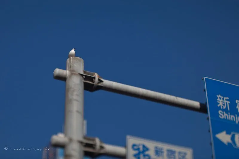 balade01-08