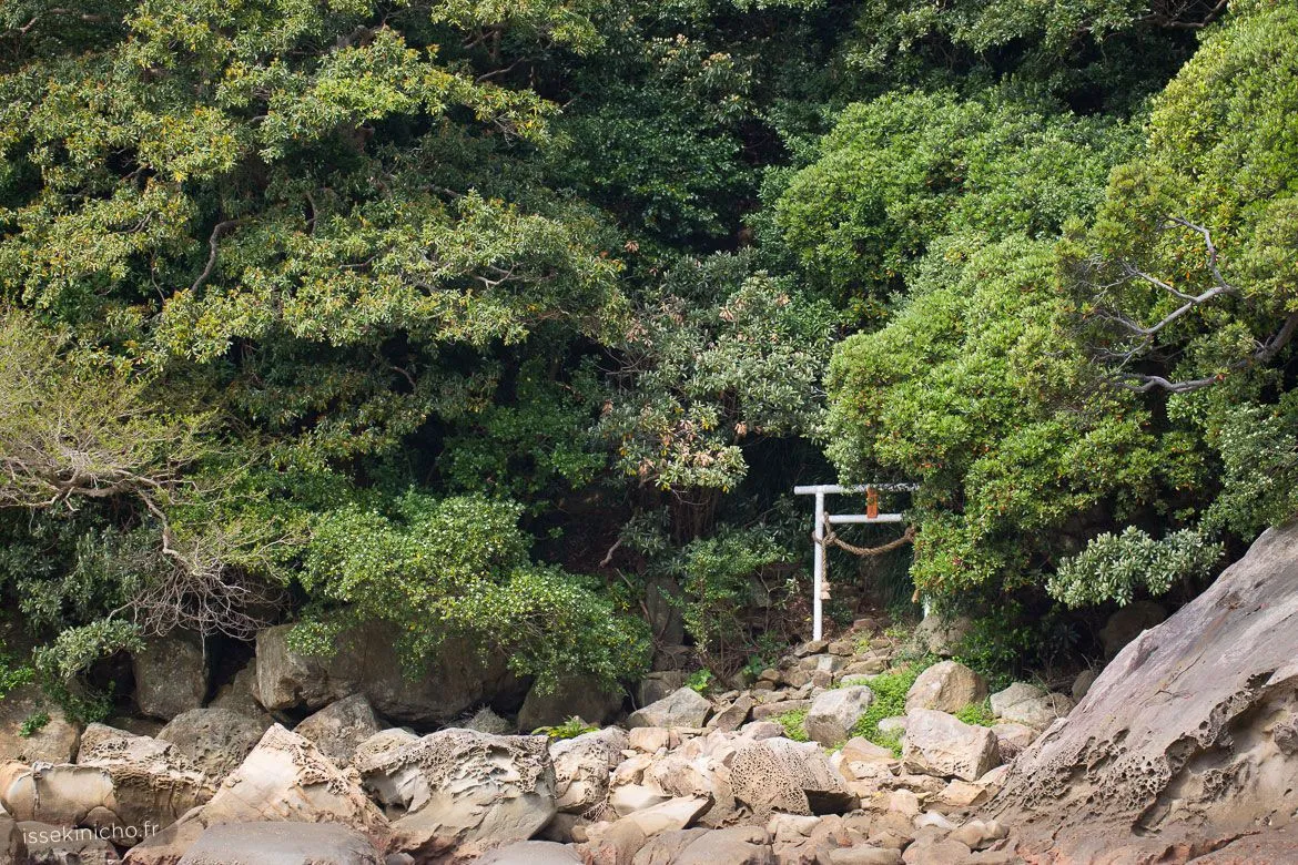 Torii dans la forêt au Japon
