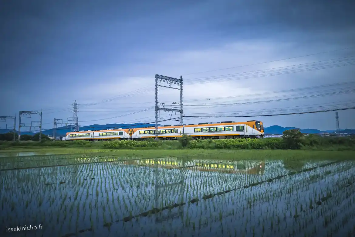 train dans les rizières au Japon
