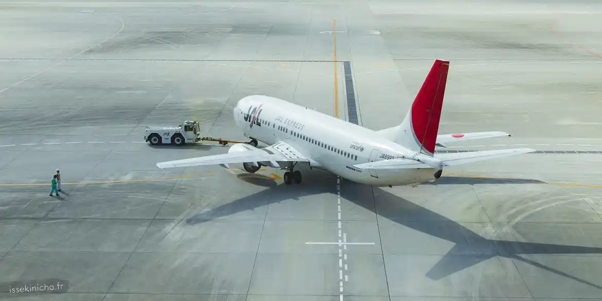 avion JAL, vol intérieur au Japon