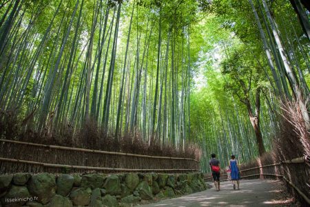 IMG_0283-kyoto-japon-arashiyama-bambou