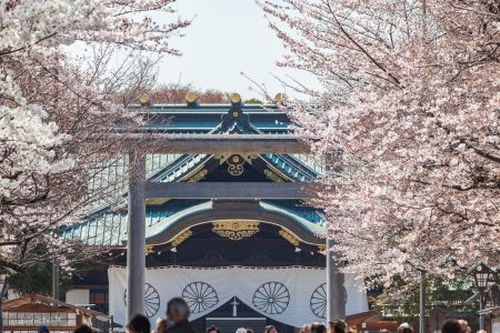 IMG_6360_hanami_yasukuni_temple