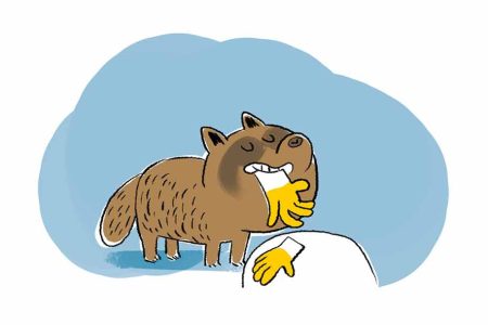 vign_tanuki_02