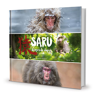 couverture d'un livre de photos animalières sur les singes du Japon