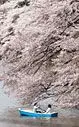 vignette_IMG_8027_p