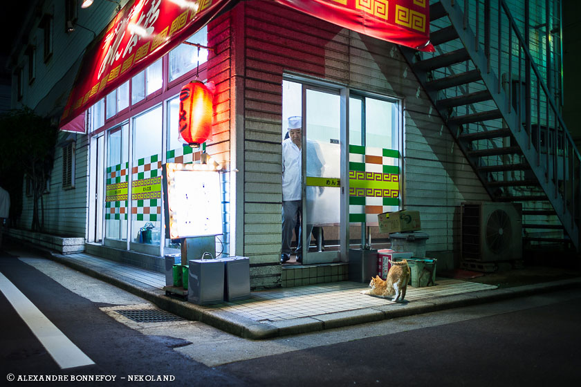 Une vie de chat au Japon en 25 photos. • Editions Issekinicho