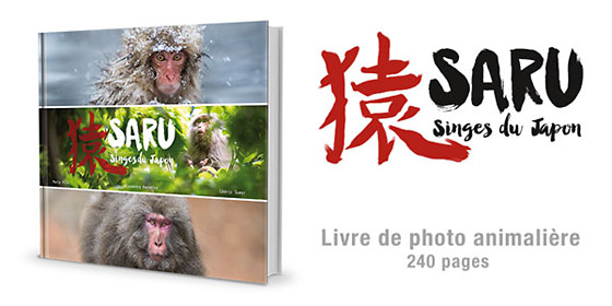 Saru - Singes du Japon, le livre