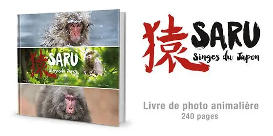 saru_newsletter