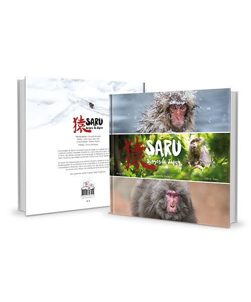 livre de photos animalières sur les singes du Japon